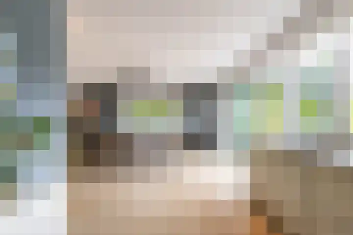 Steendobbe 1 Zuidlaren thumbnail 32