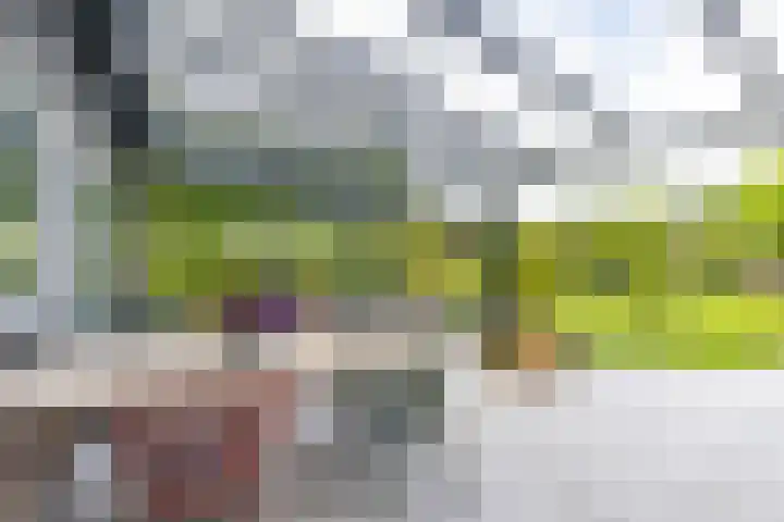 Steendobbe 1 Zuidlaren thumbnail 4