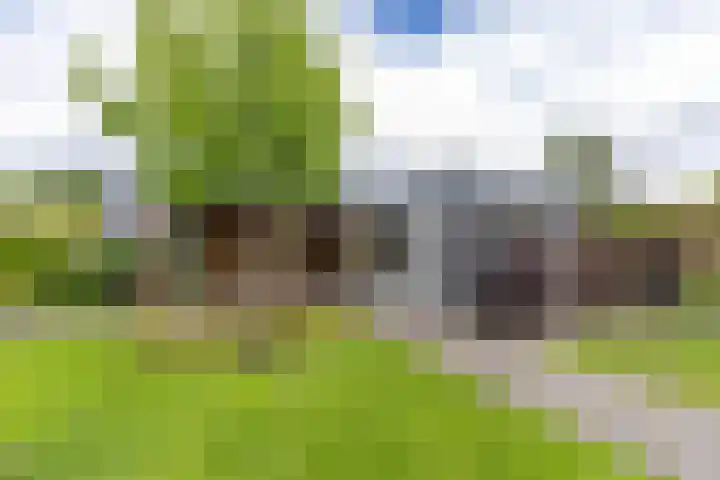 Steendobbe 1 Zuidlaren thumbnail 50
