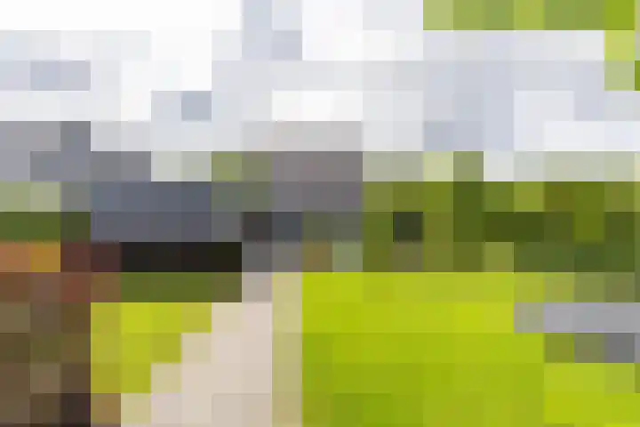 Steendobbe 1 Zuidlaren thumbnail 51