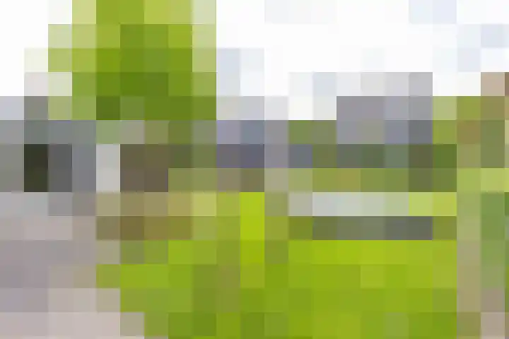 Steendobbe 1 Zuidlaren thumbnail 52
