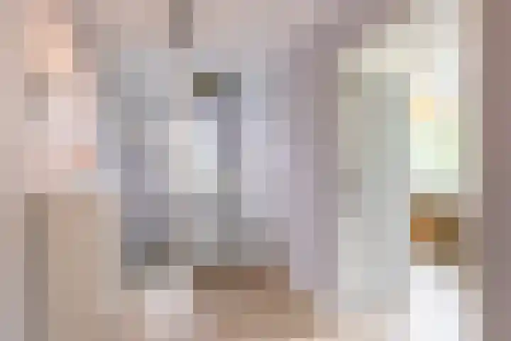 Steendobbe 1 Zuidlaren thumbnail 63