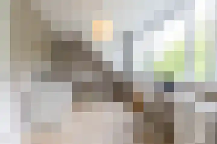 Steendobbe 1 Zuidlaren thumbnail 64