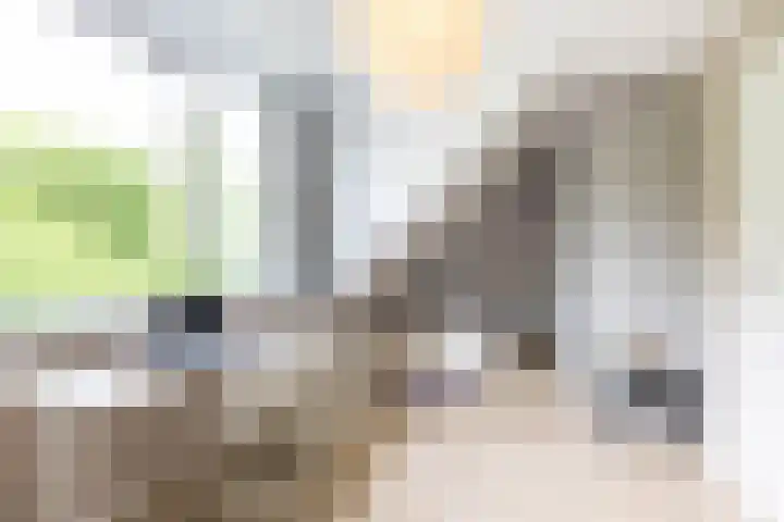 Steendobbe 1 Zuidlaren thumbnail 65