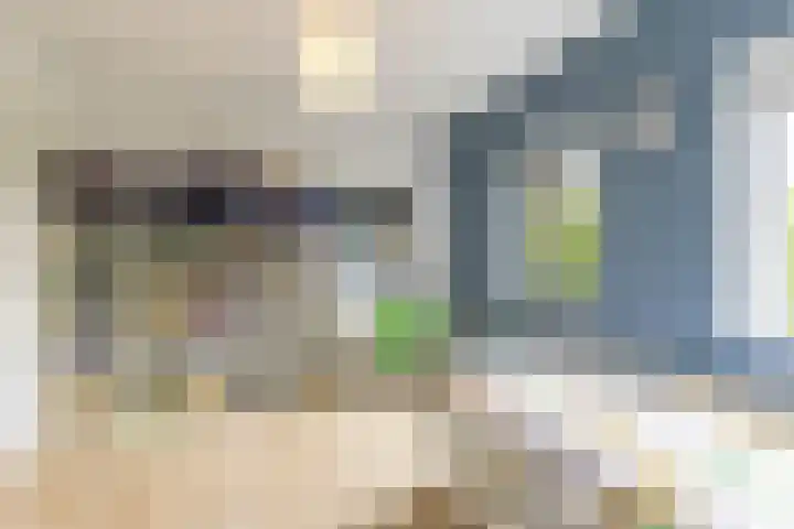 Steendobbe 1 Zuidlaren thumbnail 67