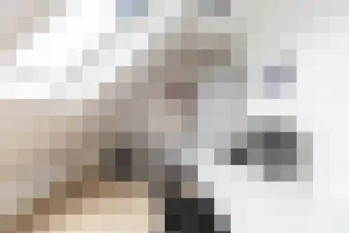 Steendobbe 1 Zuidlaren thumbnail 69