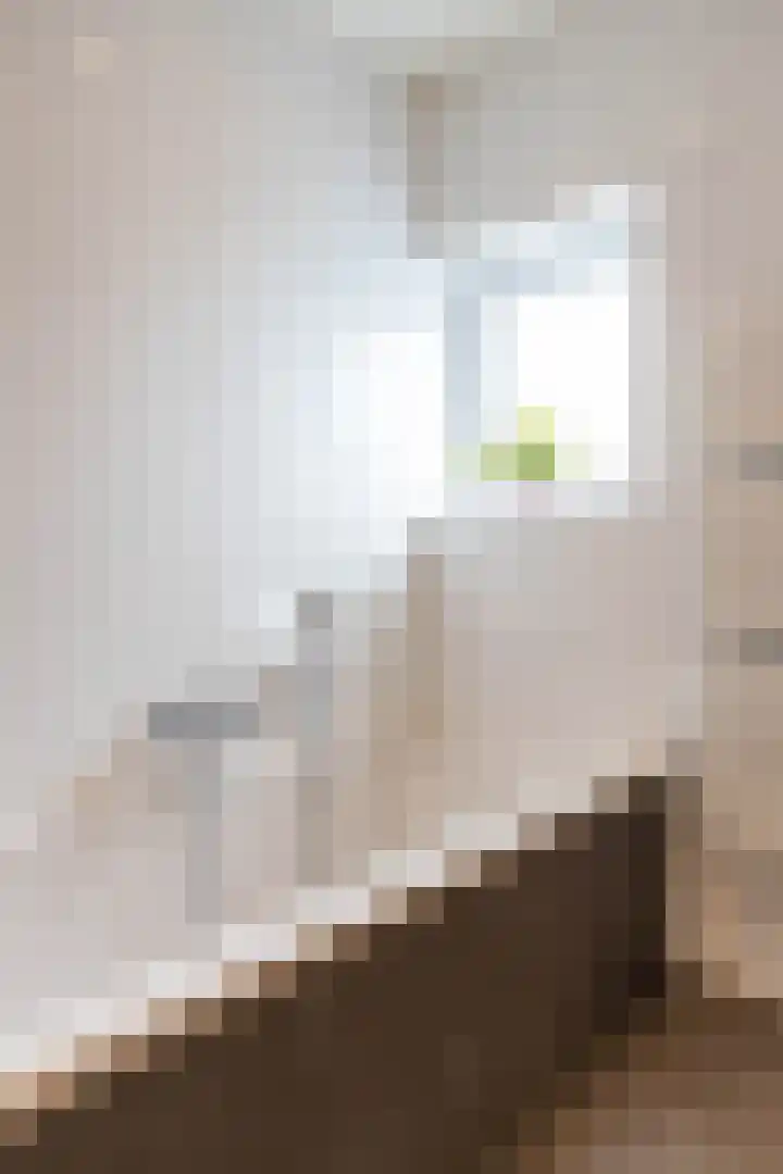Steendobbe 1 Zuidlaren thumbnail 72
