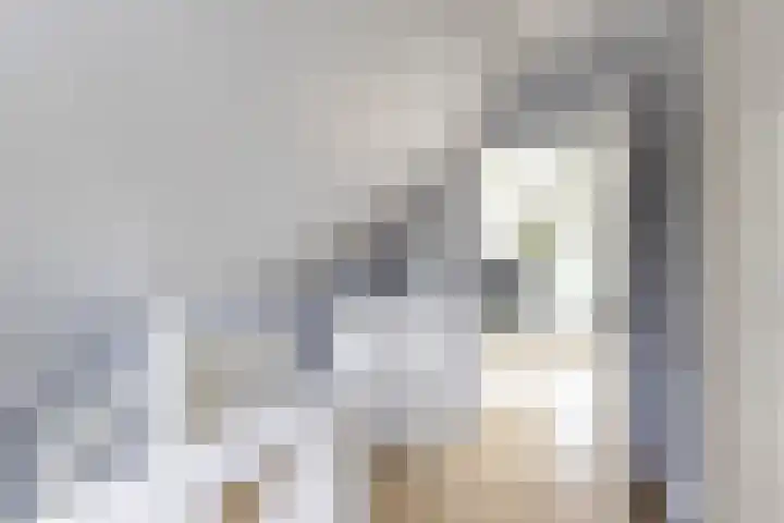 Steendobbe 1 Zuidlaren thumbnail 75