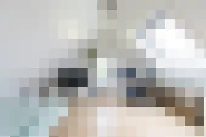 Steendobbe 1 Zuidlaren thumbnail 77