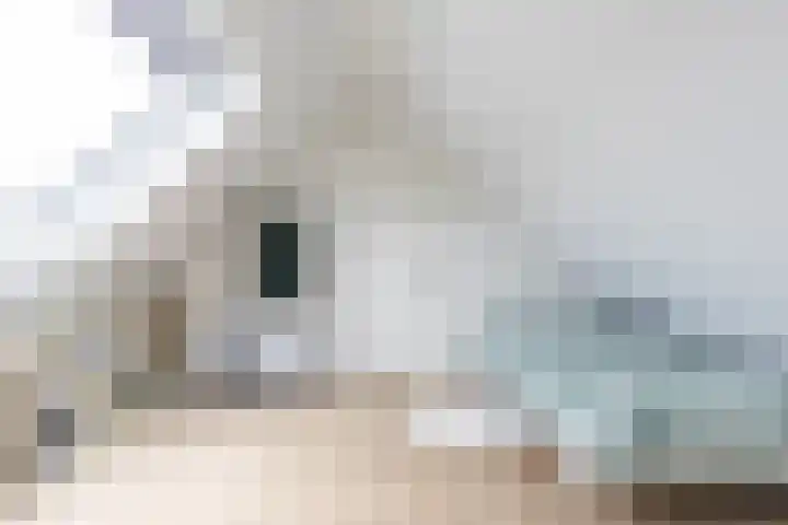 Steendobbe 1 Zuidlaren thumbnail 79