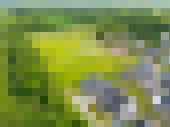 Steendobbe 1 Zuidlaren thumbnail 86
