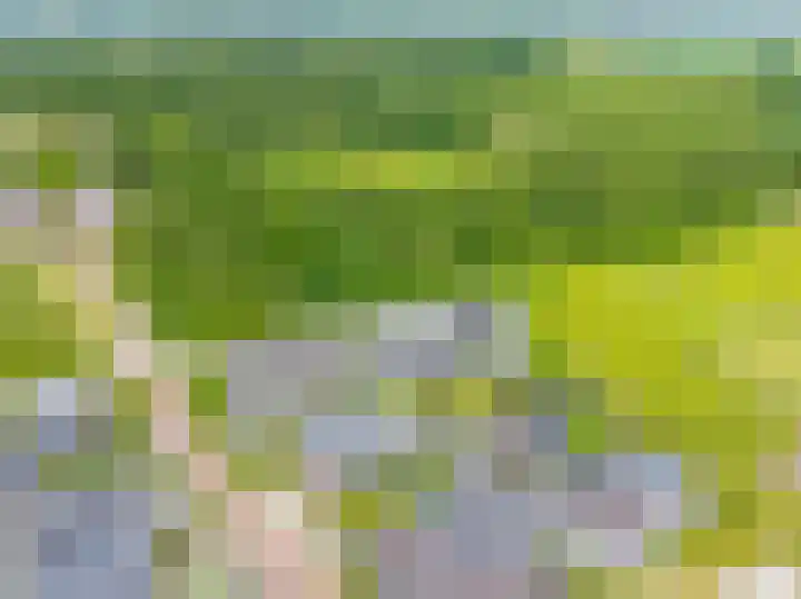 Steendobbe 1 Zuidlaren thumbnail 89
