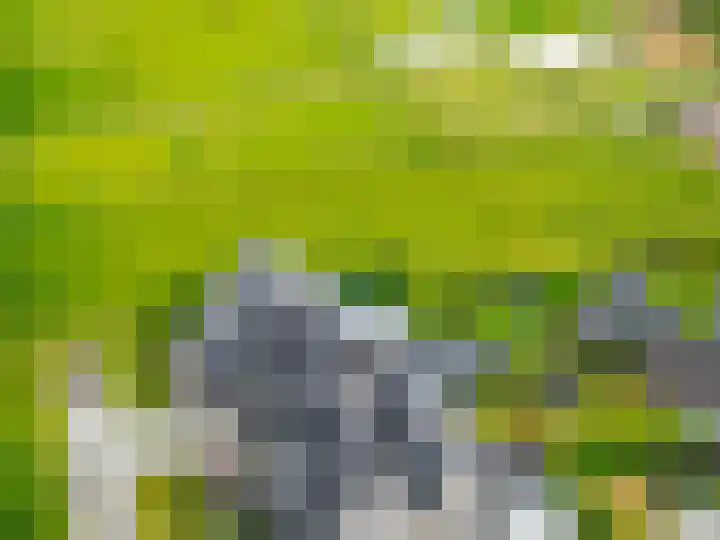 Steendobbe 1 Zuidlaren thumbnail 90