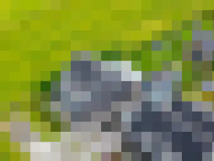 Steendobbe 1 Zuidlaren thumbnail 91