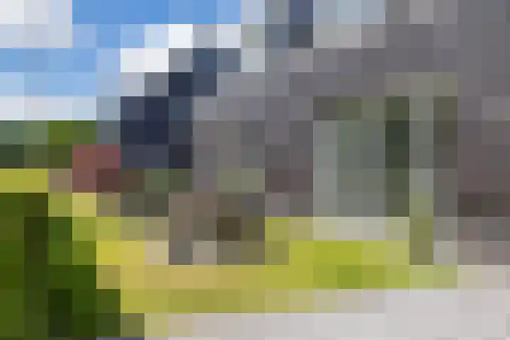 Steendobbe 5 Zuidlaren thumbnail 10