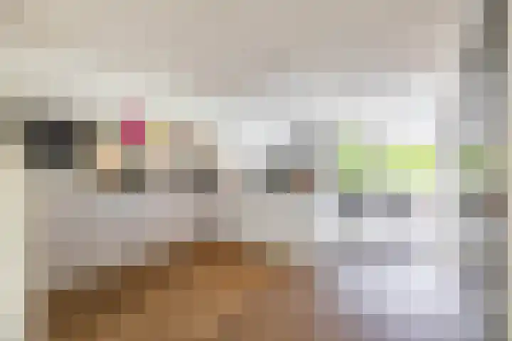 Steendobbe 5 Zuidlaren thumbnail 17