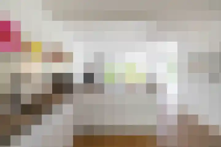 Steendobbe 5 Zuidlaren thumbnail 19