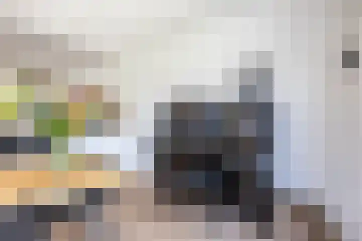 Steendobbe 5 Zuidlaren thumbnail 24