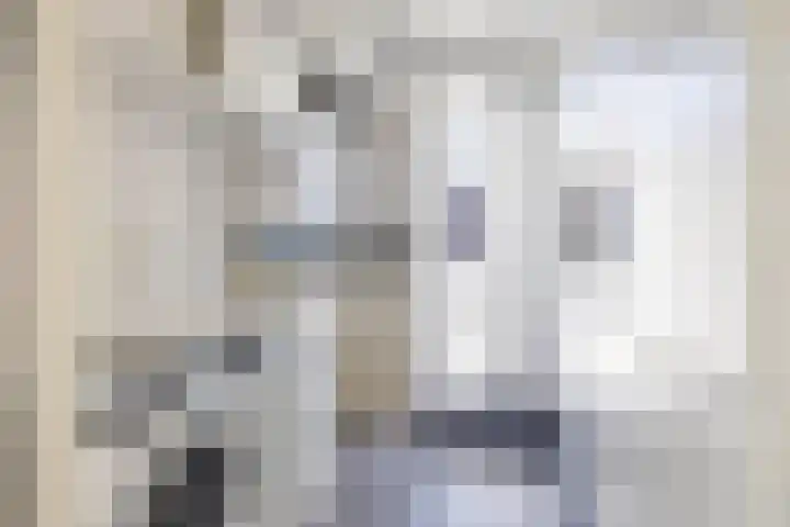 Steendobbe 5 Zuidlaren thumbnail 27