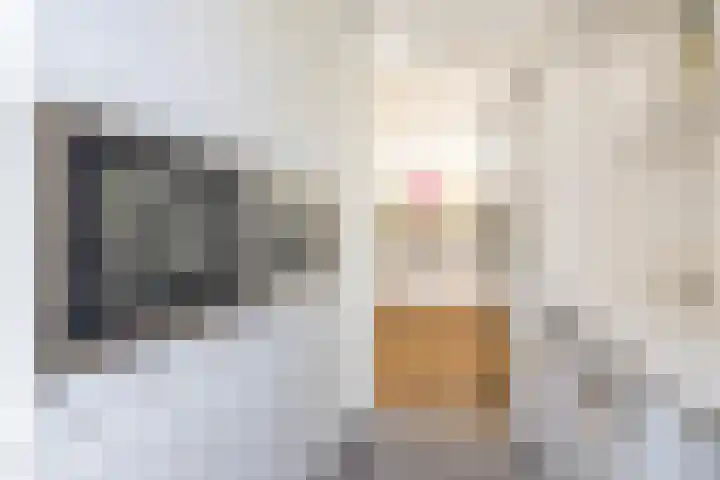 Steendobbe 5 Zuidlaren thumbnail 28