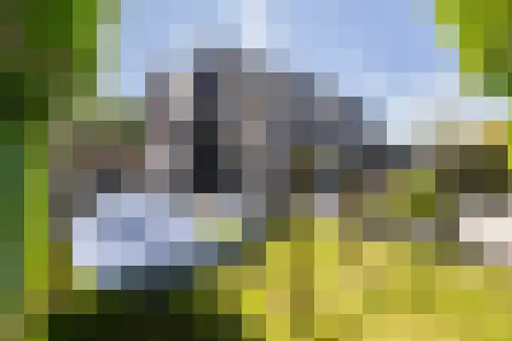 Steendobbe 5 Zuidlaren thumbnail 32