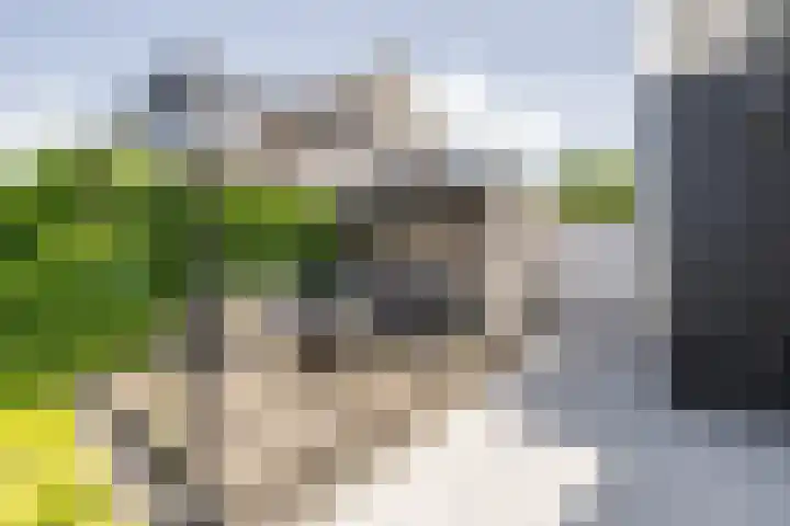 Steendobbe 5 Zuidlaren thumbnail 34