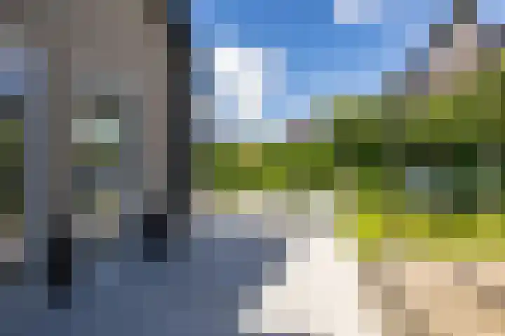 Steendobbe 5 Zuidlaren thumbnail 36
