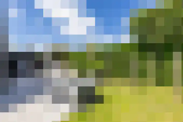 Steendobbe 5 Zuidlaren thumbnail 38