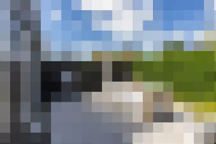 Steendobbe 5 Zuidlaren thumbnail 39