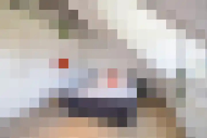 Steendobbe 5 Zuidlaren thumbnail 44