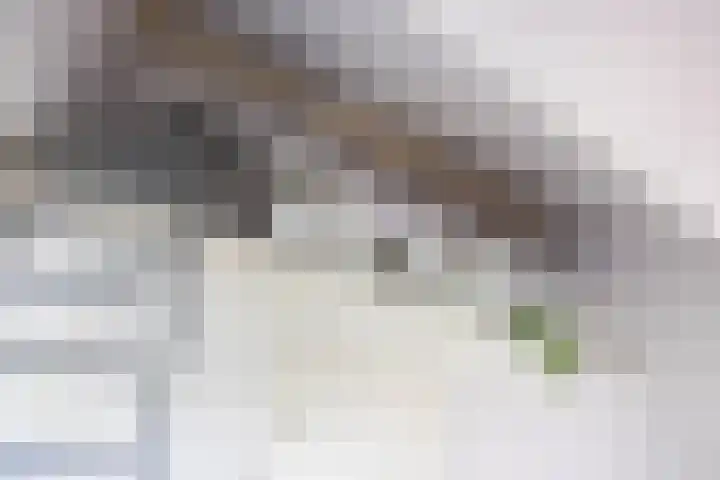 Steendobbe 5 Zuidlaren thumbnail 46