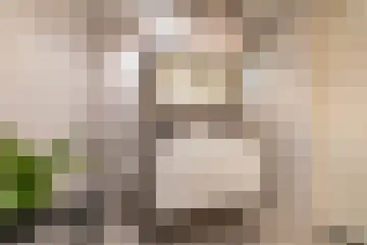Steendobbe 5 Zuidlaren thumbnail 48