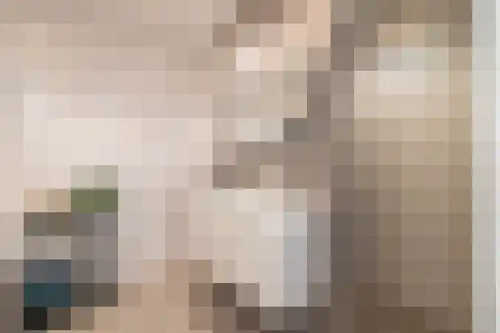 Steendobbe 5 Zuidlaren thumbnail 49