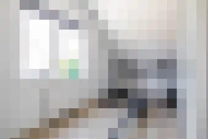 Steendobbe 5 Zuidlaren thumbnail 52