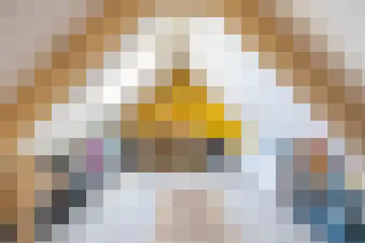 Steendobbe 5 Zuidlaren thumbnail 56