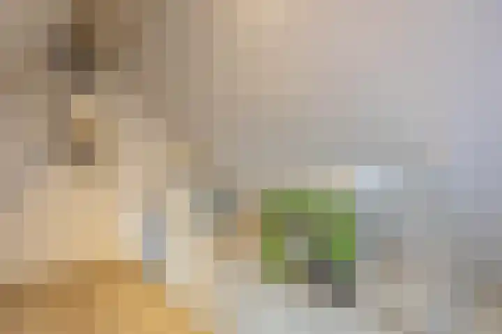 Steendobbe 5 Zuidlaren thumbnail 57