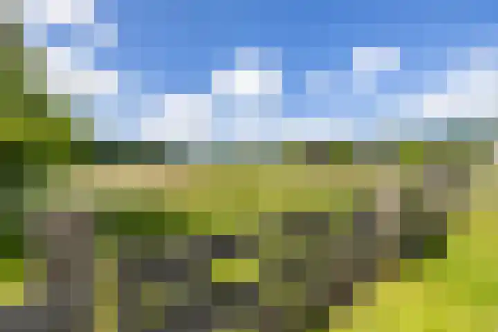 Steendobbe 5 Zuidlaren thumbnail 58