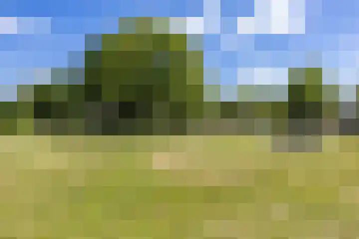 Steendobbe 5 Zuidlaren thumbnail 59