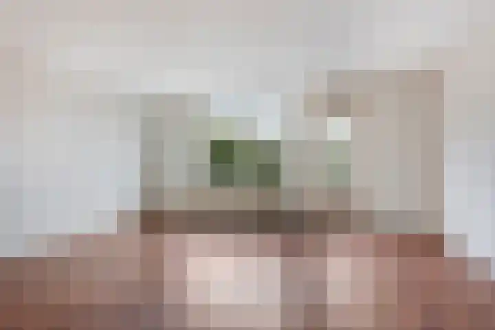 Steendrukkerstraat 25 Purmerend thumbnail 13