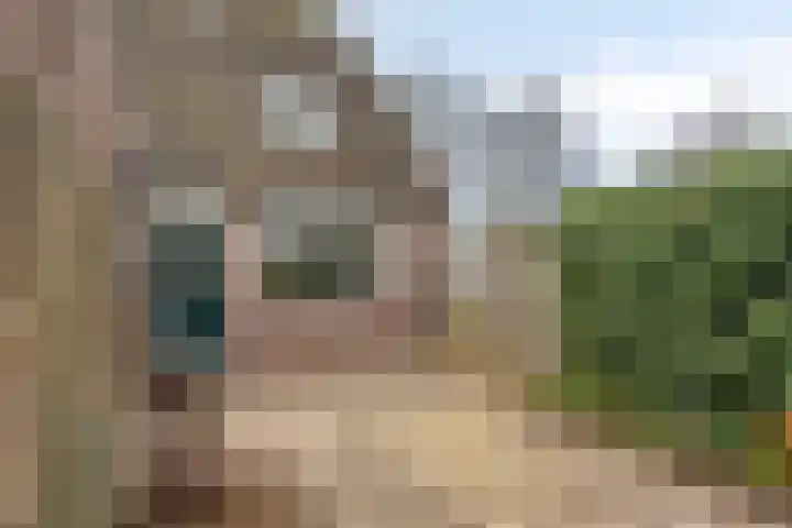 Steendrukkerstraat 25 Purmerend thumbnail 35
