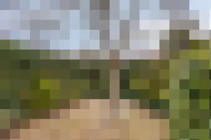 Steendrukkerstraat 25 Purmerend thumbnail 36