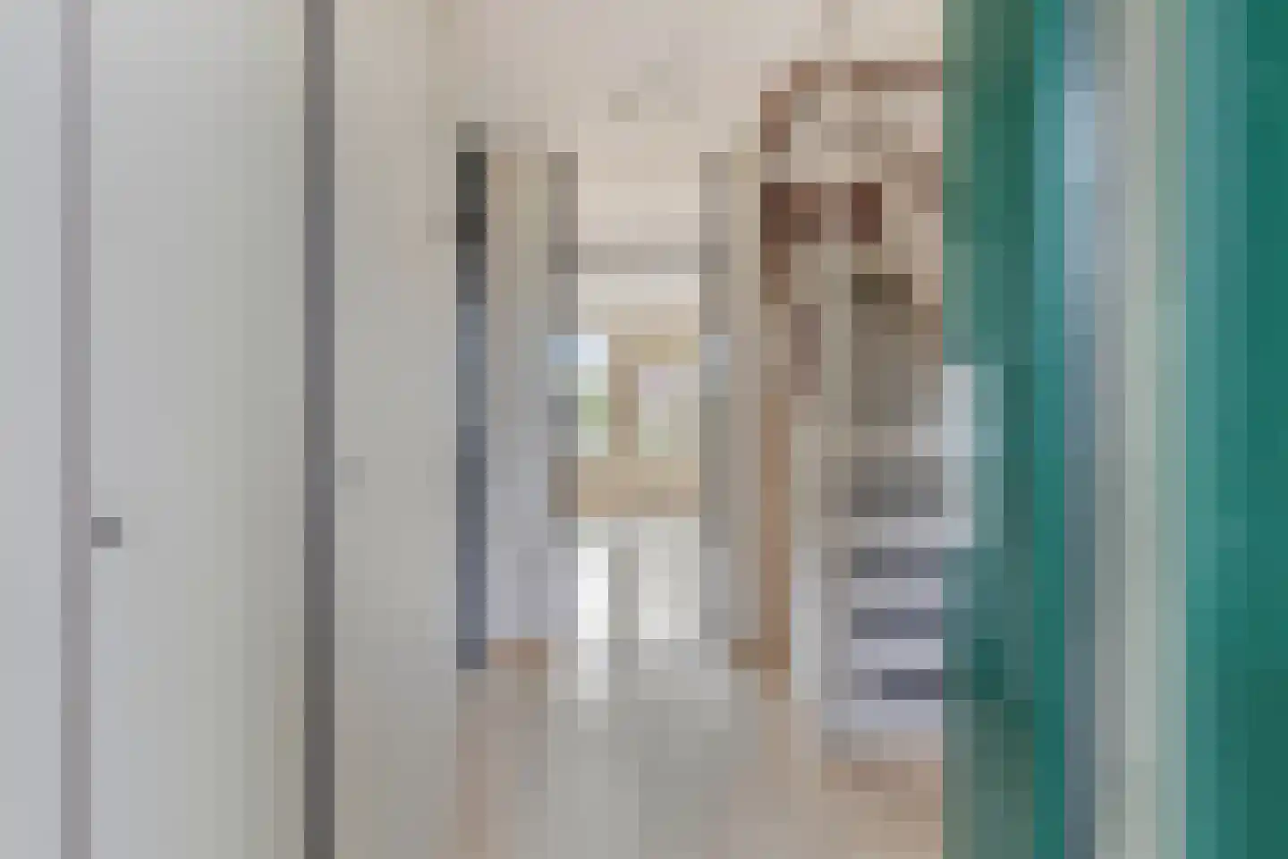Steendrukkerstraat 27 Purmerend thumbnail 5