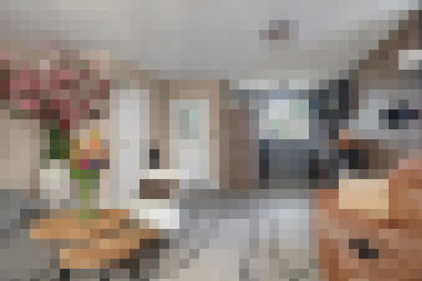 Steendrukkerstraat 33 Purmerend thumbnail 12