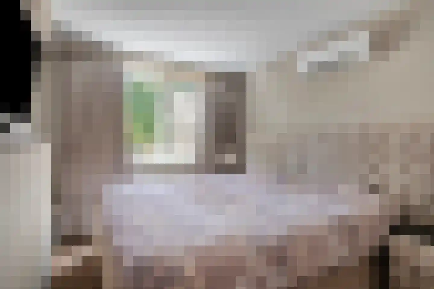Steendrukkerstraat 33 Purmerend thumbnail 18