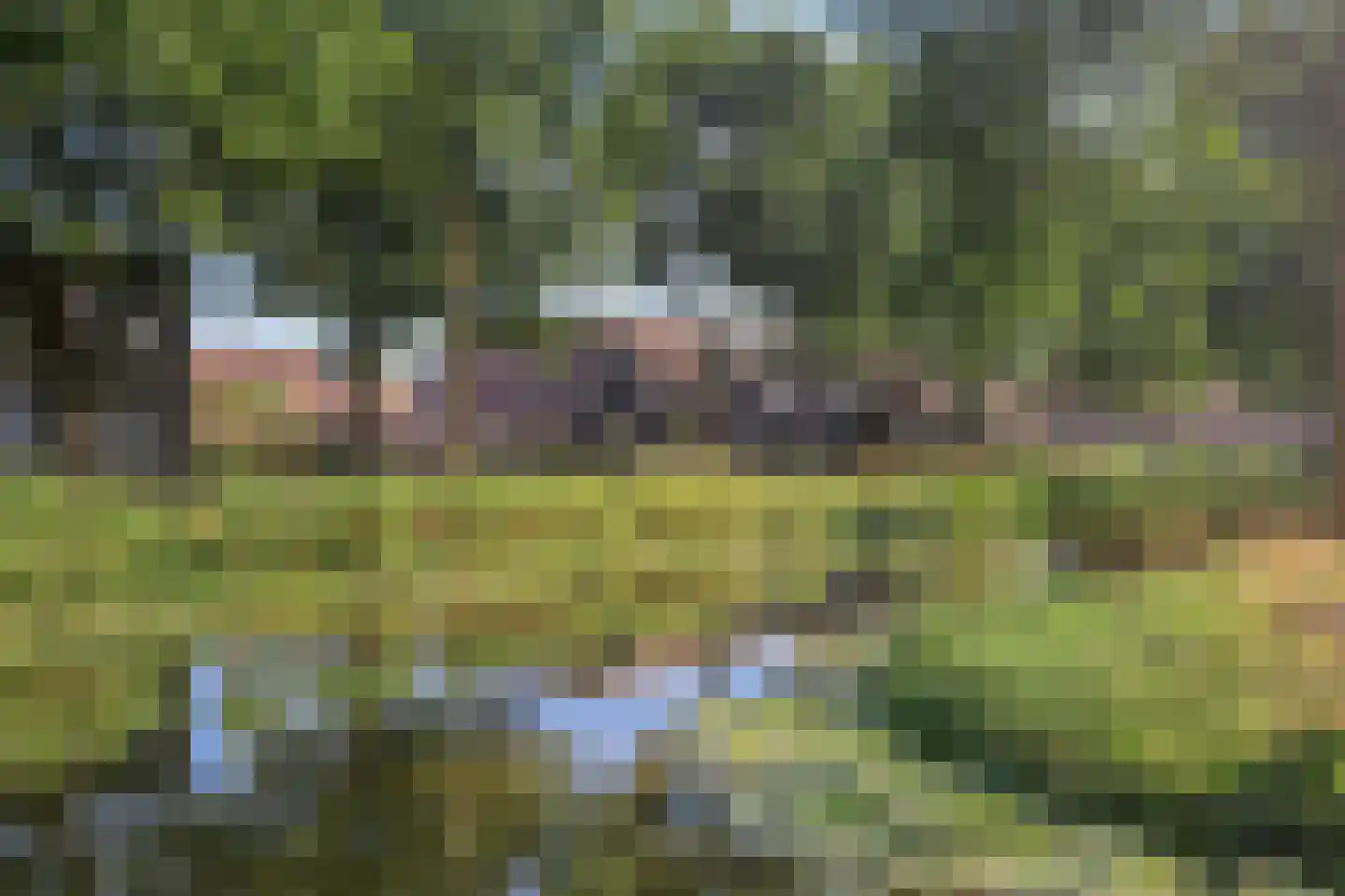 Steendrukkerstraat 33 Purmerend thumbnail 36