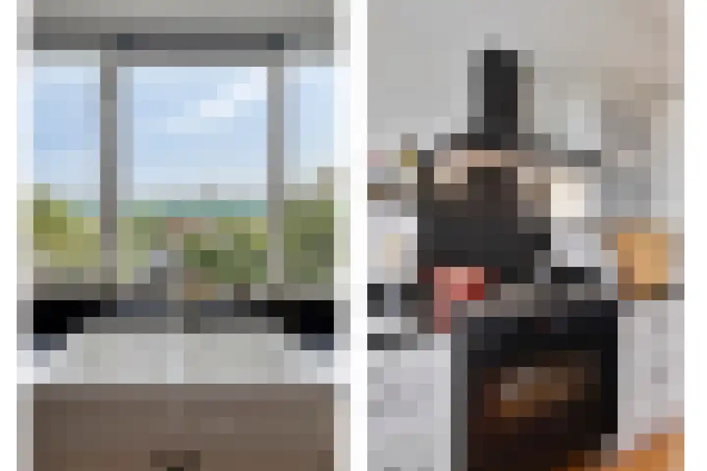 Steeneikzoom 14 Zoetermeer thumbnail 12