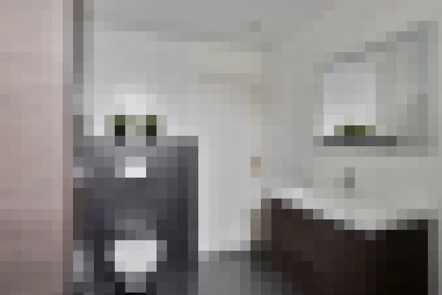 Steeneikzoom 14 Zoetermeer thumbnail 20