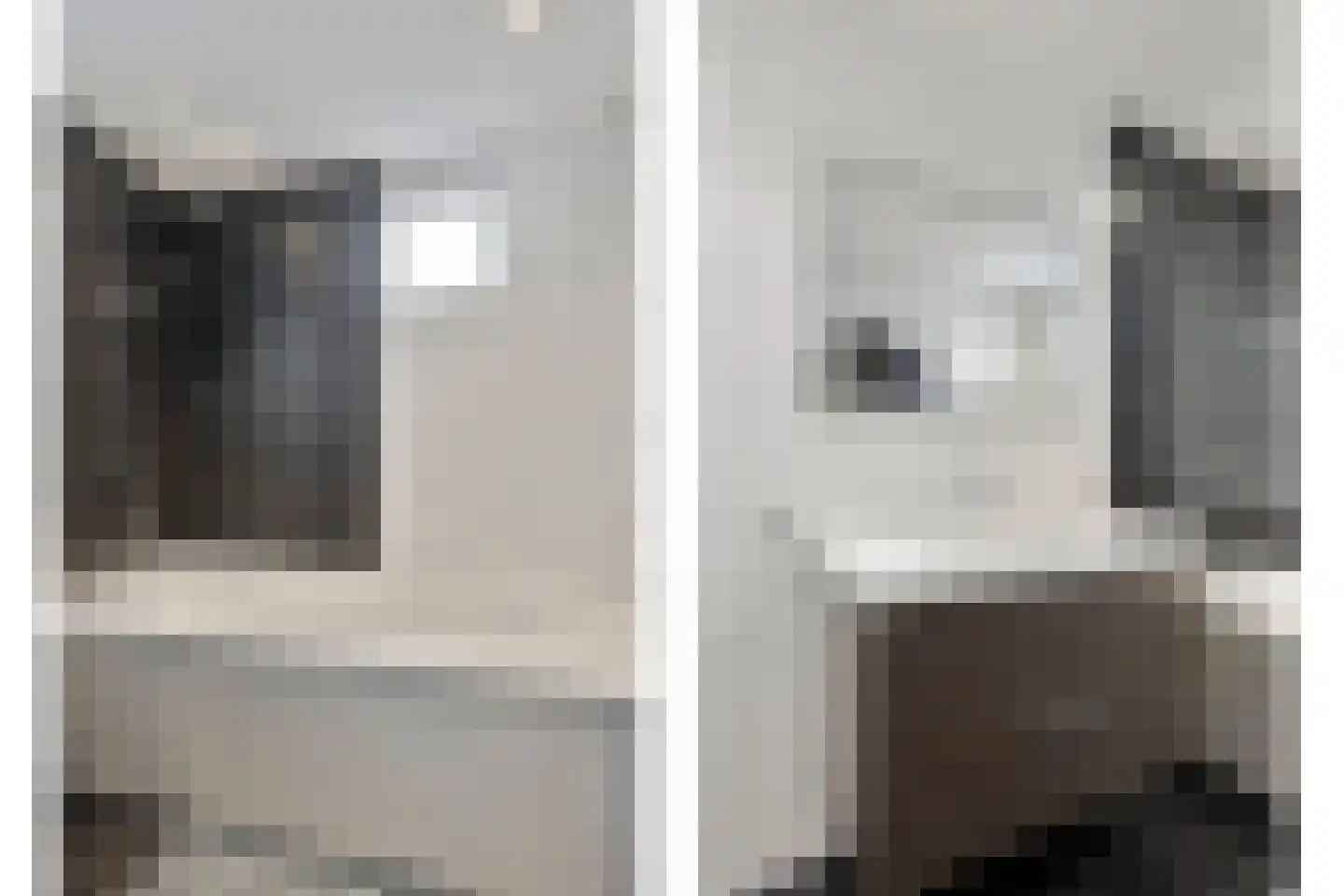 Steeneikzoom 14 Zoetermeer thumbnail 21