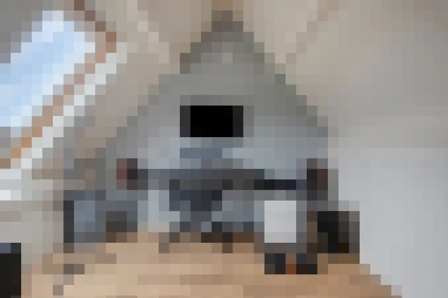 Steeneikzoom 14 Zoetermeer thumbnail 27