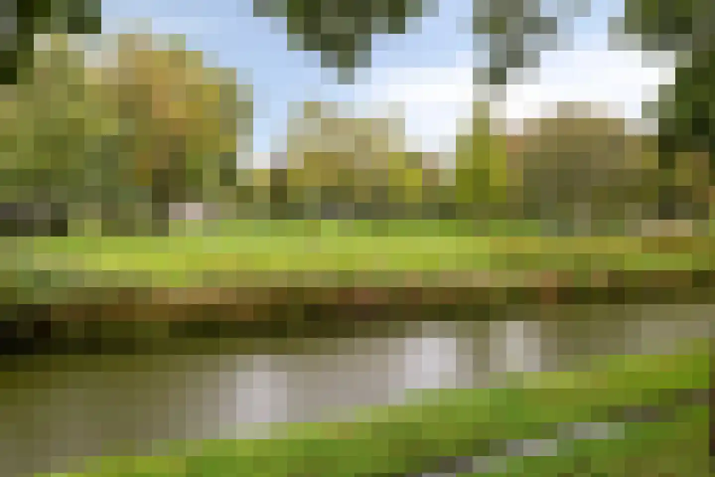 Steeneikzoom 14 Zoetermeer thumbnail 29